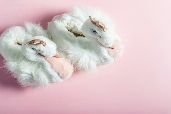 Découvrez les chaussures animaux idéales pour toutes les saisons